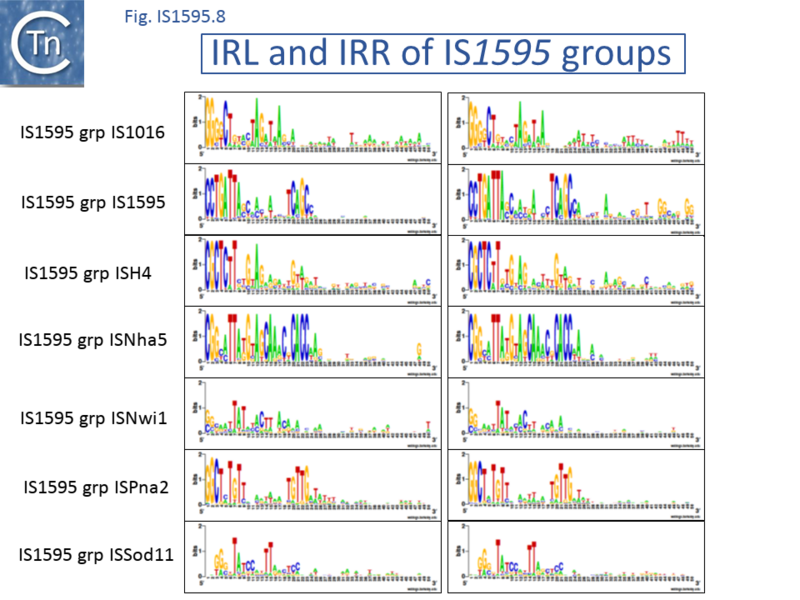 File:Fig. IS1595.9.png