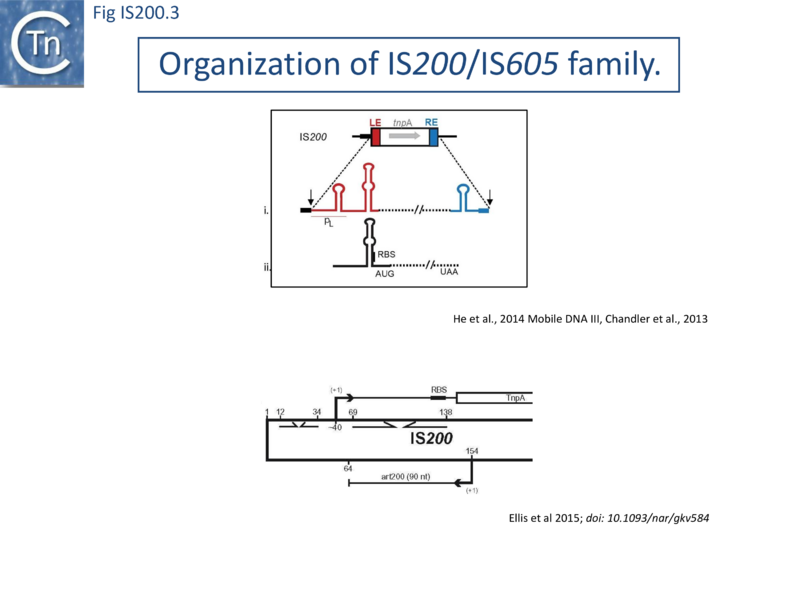 File:FigIS200 605 3.png