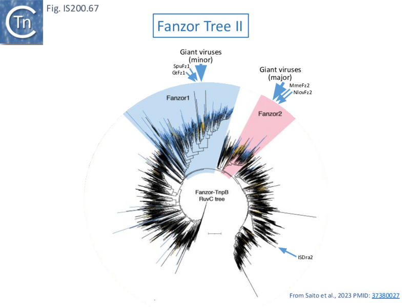 File:FigIS200 605 67.png