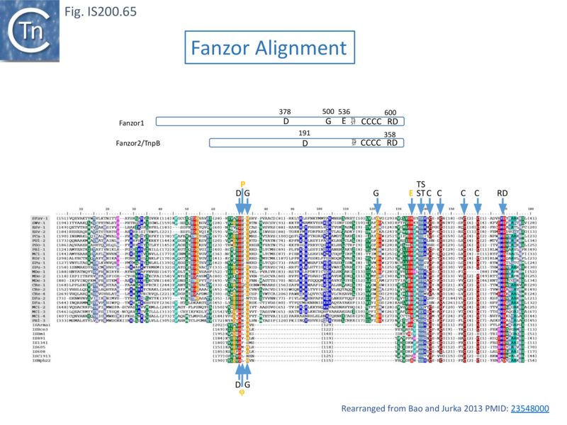 File:FigIS200 605 65.png