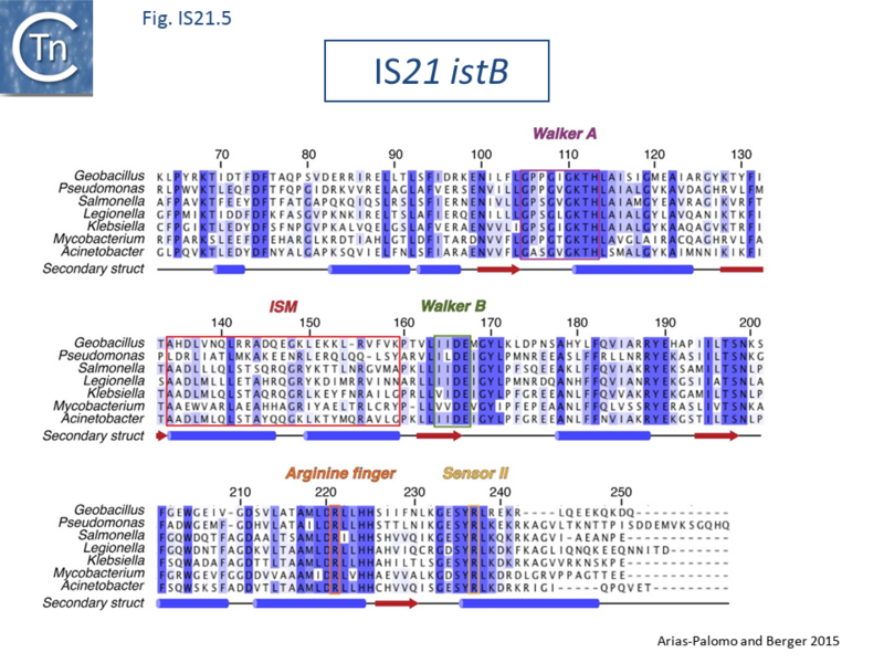 File:Fig. IS21.5.png