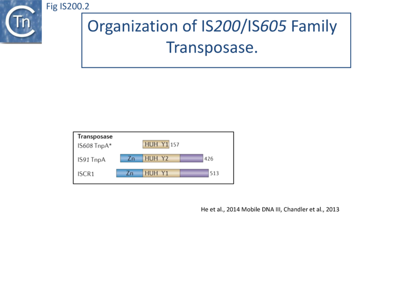 File:FigIS200 605 2.png