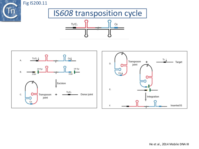 File:FigIS200 605 11.png