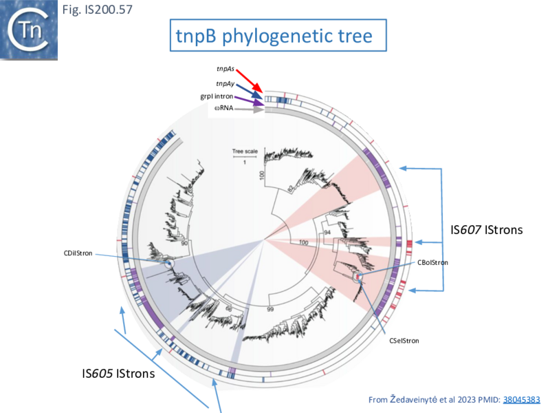 File:FigIS200 605 57.png