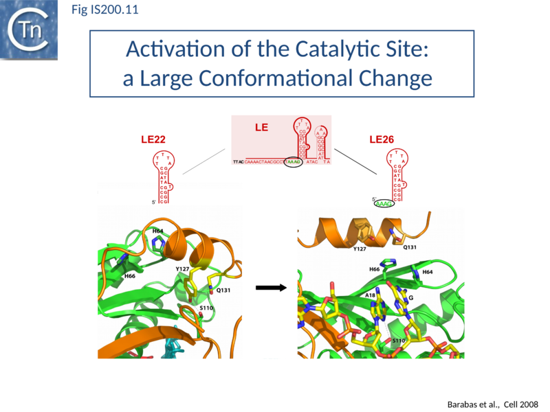 File:Fig. IS200.11.png