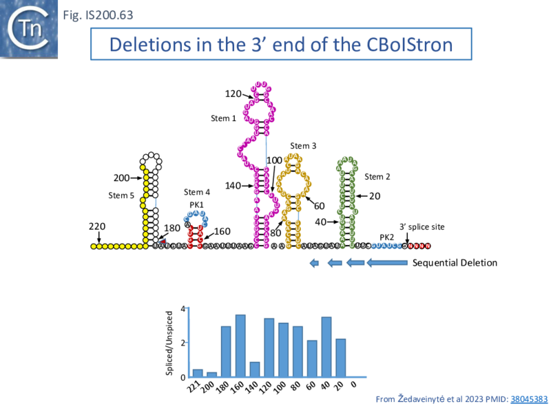 File:FigIS200 605 63.png