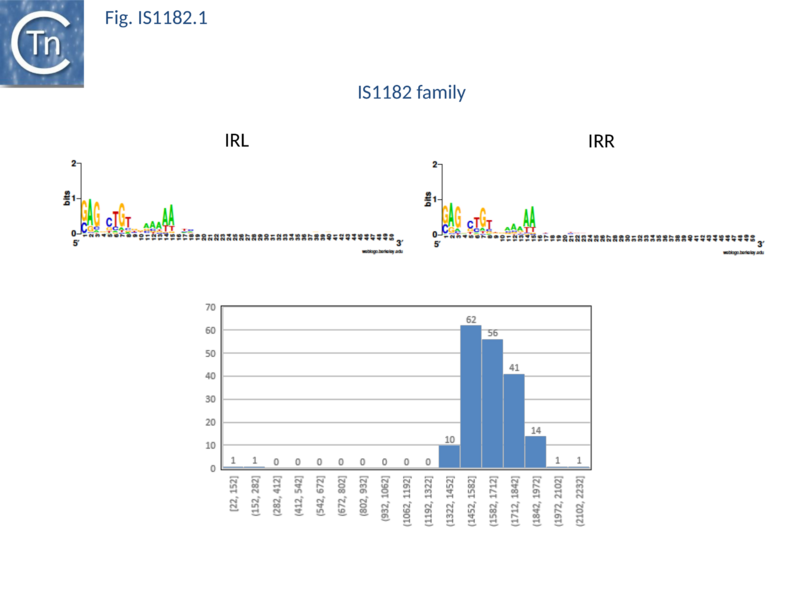 File:Fig. IS1182.1.png