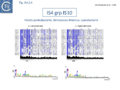 Fig. IS4.2.4. The IS4 group IS10. Top: The element names taken from ISfinder are shown on the left of each column. The conserved amino acids are highlighted in blue. The intensity reflects the degree of conservation. The black histograms below show the percentage identity with the consensus sequence proposed by De Palmenaer et al. 2008. Bottom: The left (IRL) and right IRR inverted terminal repeats are shown in WebLogo format (Crooks et al., 2004). Figure adapted from Palmenaer et al. 2008.