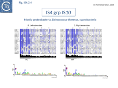 Fig. IS4.2.4. The IS4 group IS10.
