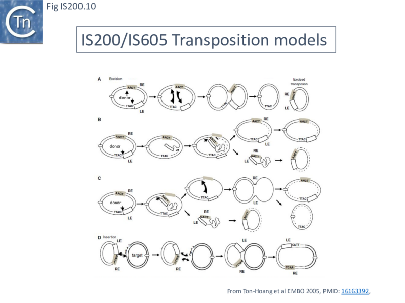 File:FigIS200 605 10.png