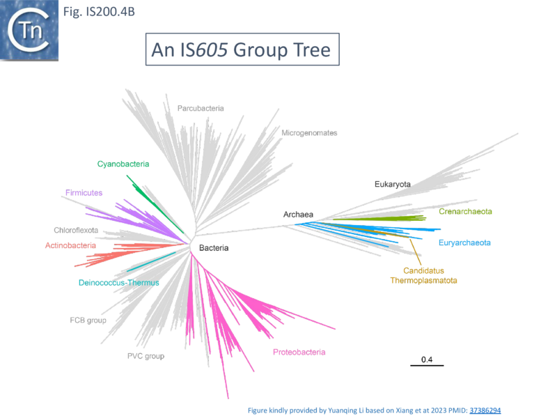 File:FigIS200 605 4B.png