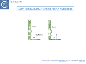 FigIS200 605 69D.png