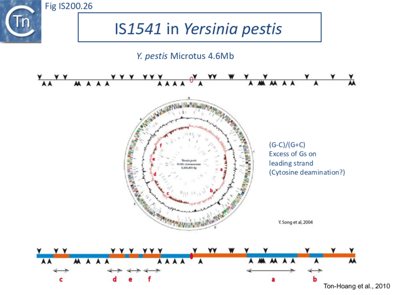 File:FigIS200 605 26.png