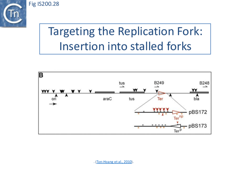 File:FigIS200 605 28.png