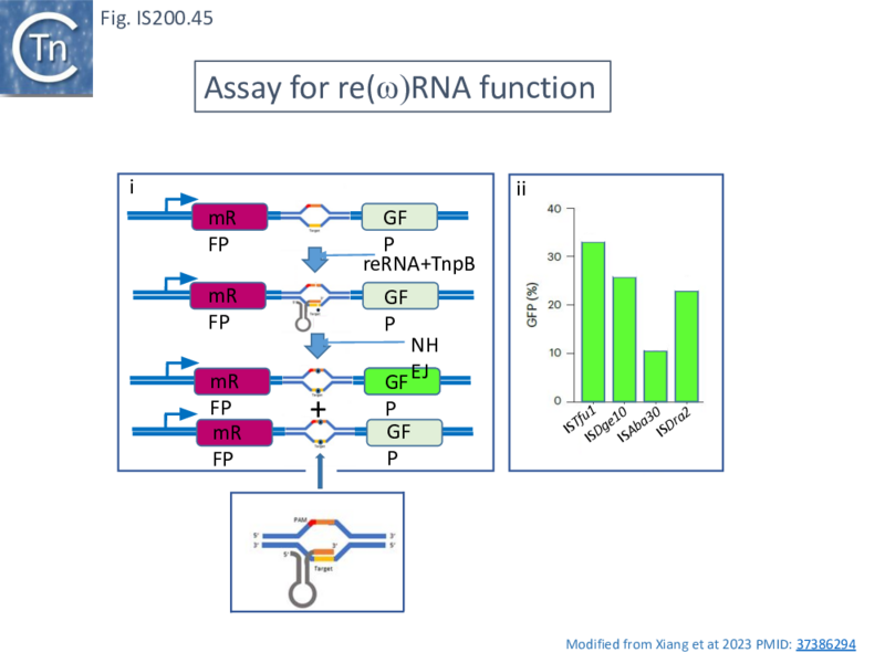 File:FigIS200 605 45.png