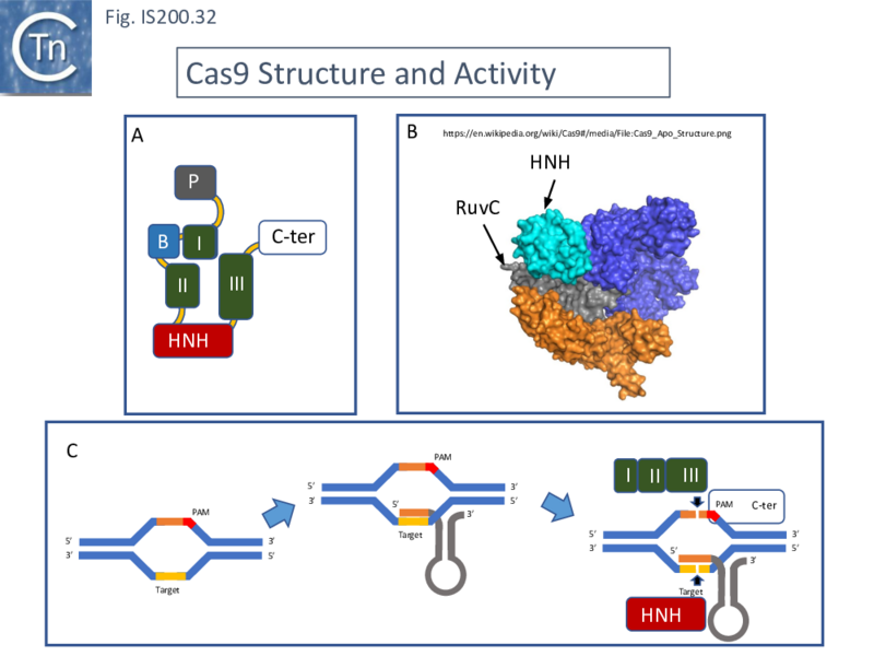 File:FigIS200 605 32.png