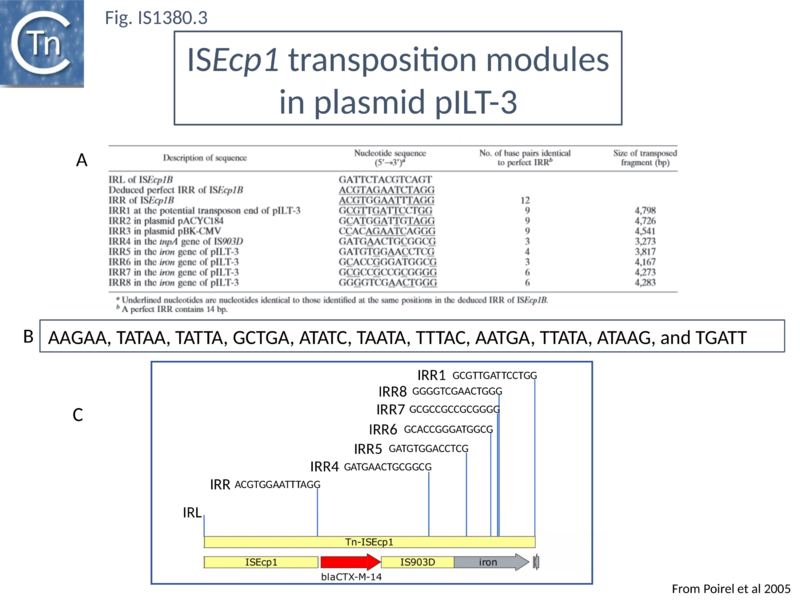 File:Fig. IS1380.3.png