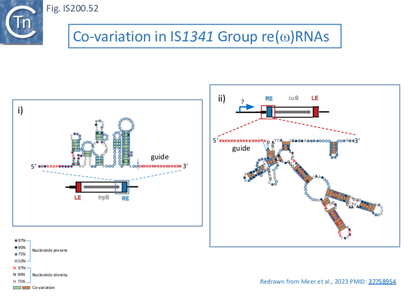 File:FigIS200 605 52.png