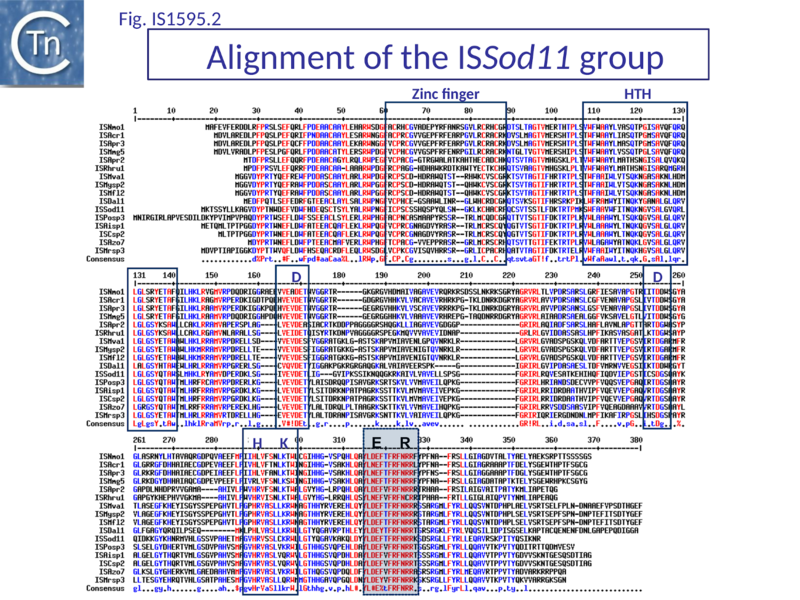 File:Fig. IS1595.2.png