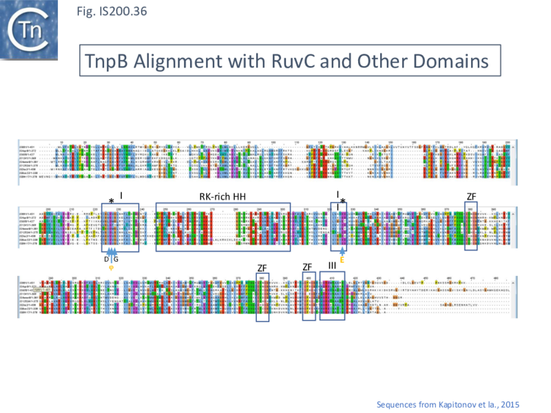 File:FigIS200 605 36.png
