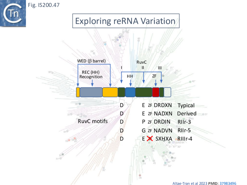File:FigIS200 605 47.png