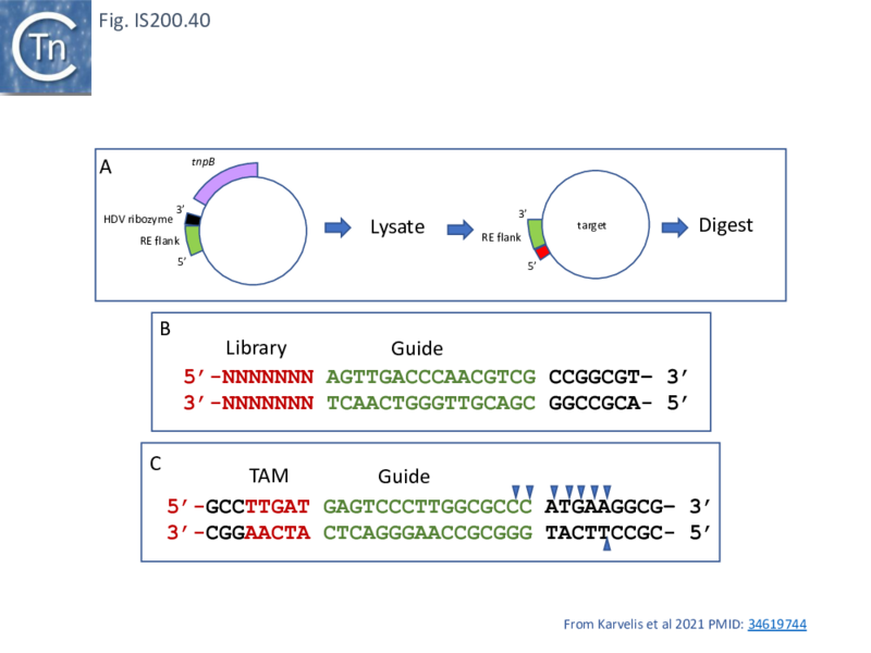 File:FigIS200 605 40.png