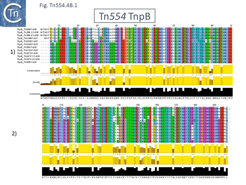 File:FigTn554-4c.png