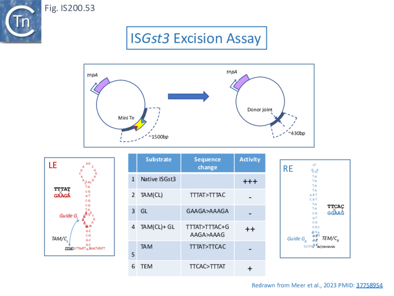 File:FigIS200 605 53.png