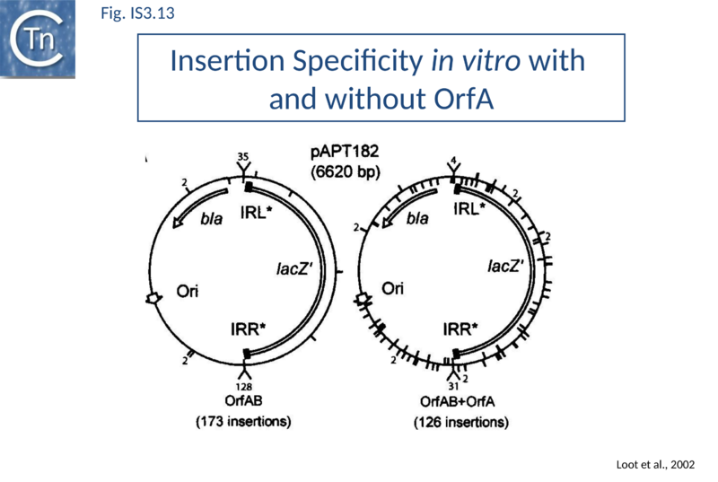 File:Fig. IS3.13.png