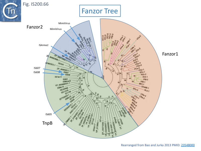 File:FigIS200 605 66.png