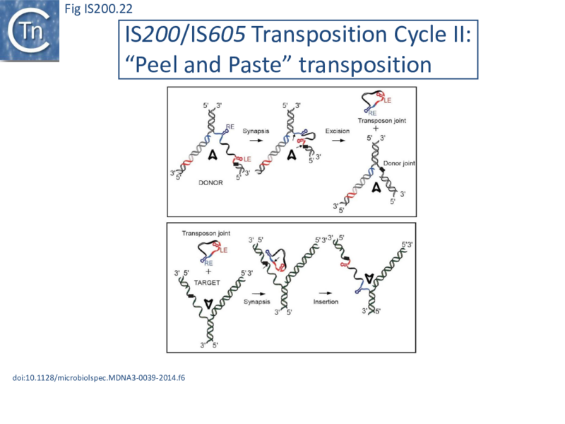 File:FigIS200 605 22.png