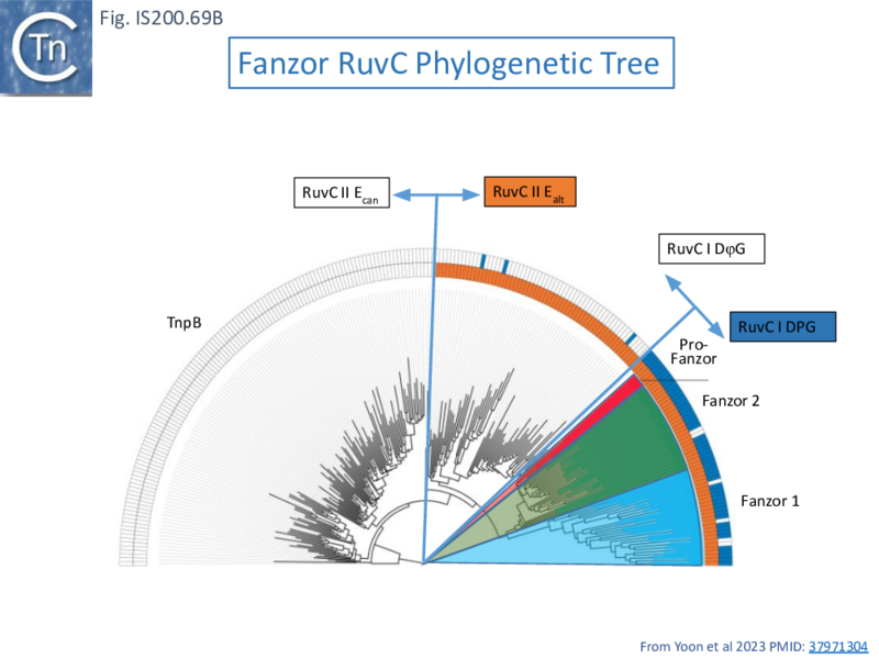 File:FigIS200 605 69B.png
