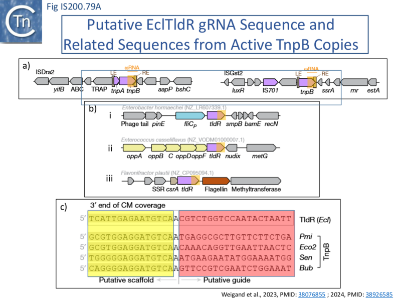 File:FigIS200 605 79A.png