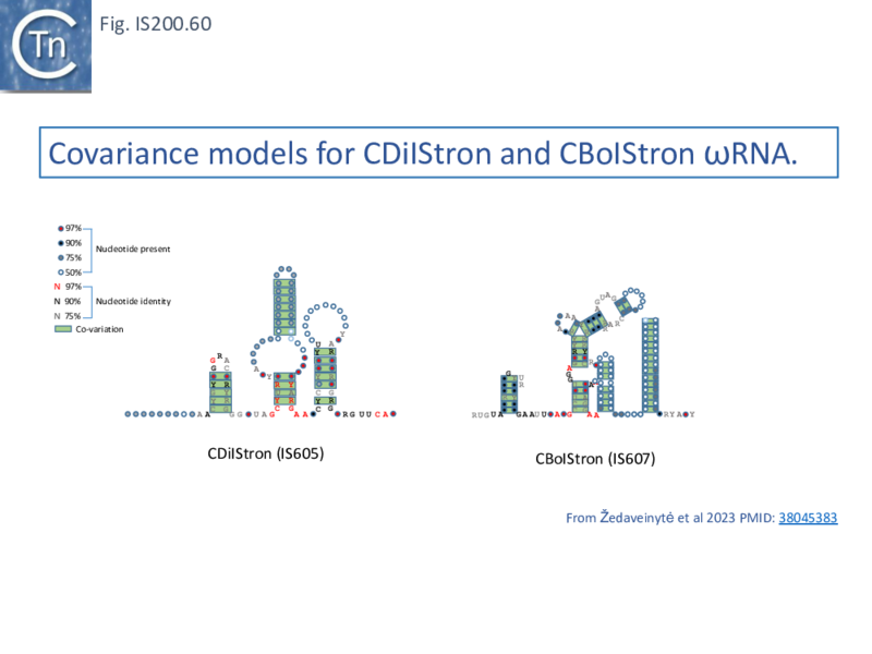 File:FigIS200 605 60.png