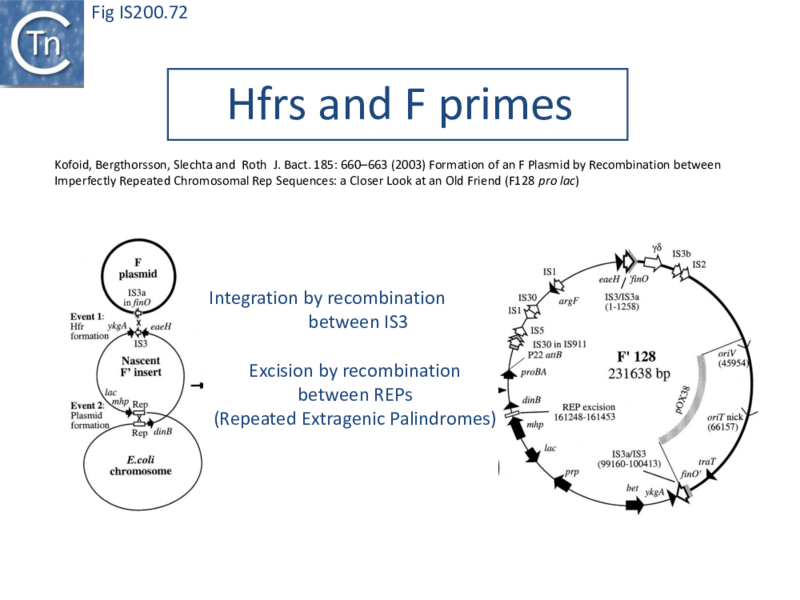File:FigIS200 605 72.png
