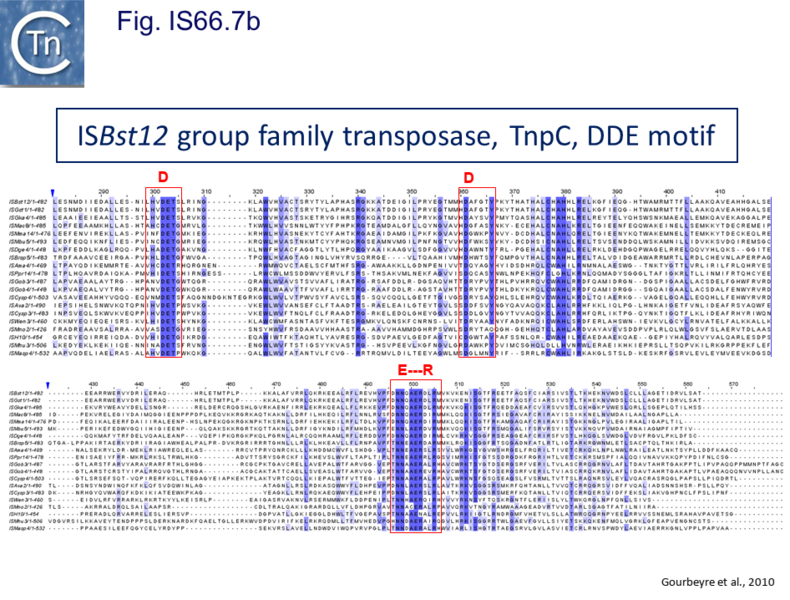 File:Fig IS66.7B.png