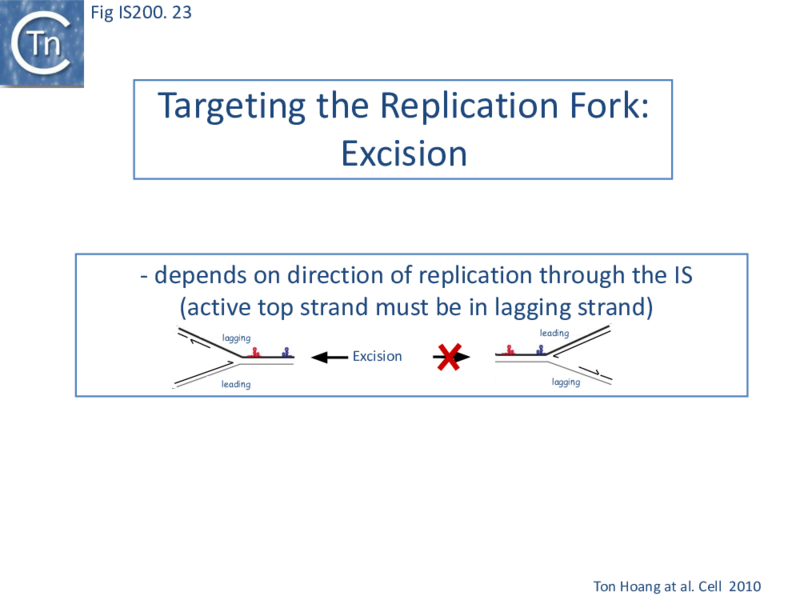 File:FigIS200 605 23.png