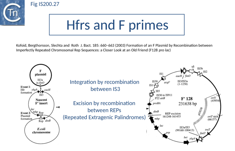 File:Fig. IS200.27.png