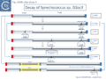 Fig. IS200.slide show 3. Decay of Synechococcus sp. ISSoc3