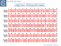 Fig. IS200.slide show 2. Alignment of ISCysp14 Copies