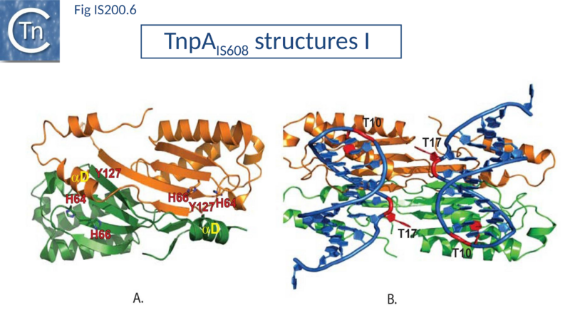 File:Fig. IS200.6.png