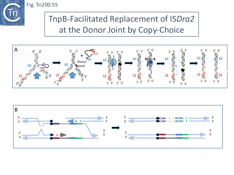 File:FigIS200 605 55.png