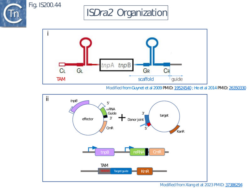 File:FigIS200 605 44.png